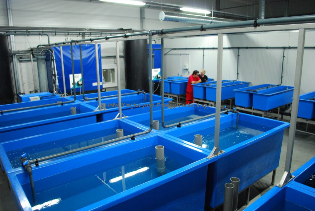 Serbatoio di pesce riproduttivo FRP POND SERCA ACQUA