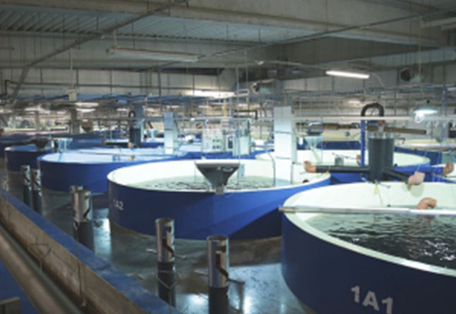 未标题 -1_0002_ 2012 年